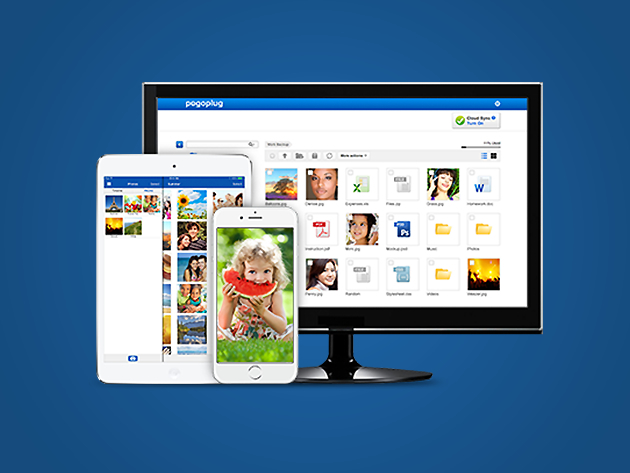 Pogoplug Remote Access: Lifetime Subscription