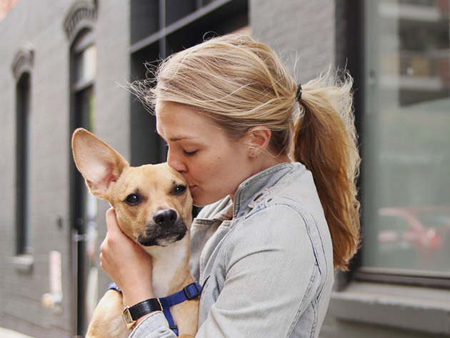 Ae1e4aeaf31e33b8445b913e652a897754b89c99 main hero image